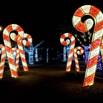 Décoration de noël pour professionnels depuis plus de 30 ans